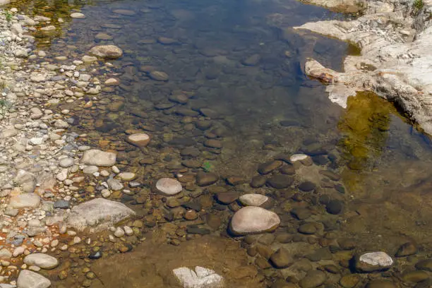 rocky detail at the Ardeche river in southern France