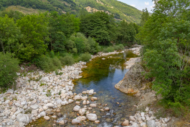 istock Ardeche river in Southern France 1149223733