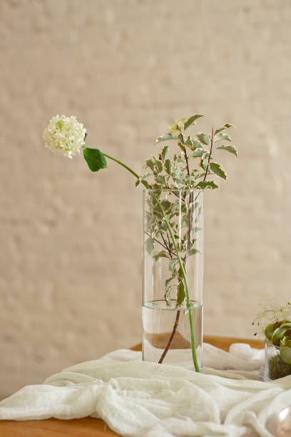 istock Boho wedding table setting, rustic decorations, gold and blue details, wooden table, bokeh. Luxury wedding decor. Monstera leaves and orchid flowers. 1149224136