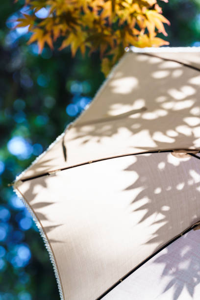 White parasol in the summer sunshine