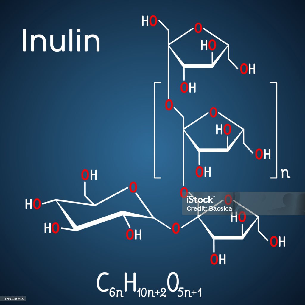 Inulin molecule. Structural chemical formula on the dark blue background Inulin molecule. Structural chemical formula on the dark blue background. Vector illustration Carbohydrate - Biological Molecule stock vector