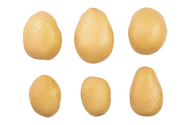 istock Young potato isolated on white background. Harvest new. Top view. Flat lay 1149227276