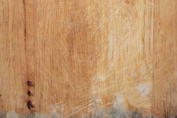 istock Texture background Wooden stump 1149228412
