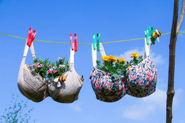 컵에서 자라는 식물을 사용한 세탁 라인 브래지어 - bra lingerie clothesline underwear 뉴스 사진 이미지