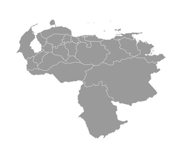 Vector isolated illustration of simplified administrative map of Venezuela. Borders of the provinces (regions). Grey silhouettes. White outline Vector isolated illustration of simplified administrative map of Venezuela. Borders of the provinces (regions). Grey silhouettes. White outline. delta amacuro stock illustrations
