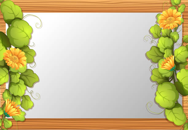 flower in blank background flower in blank background illustration sunflower vine stock illustrations