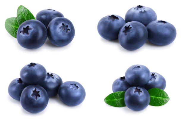 istock fresh blueberry with leaves isolated on white background closeup. Set or collection 1149233932