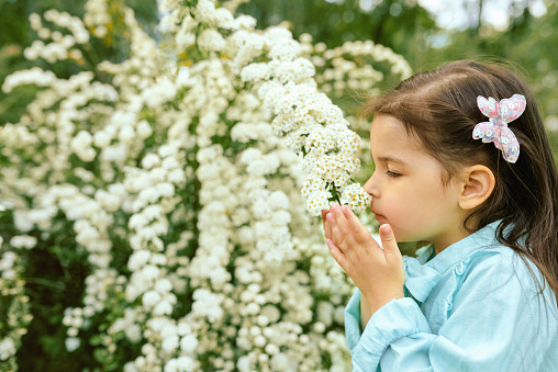 El Retrato Al Aire Libre De Un Niño Bonito Huele Las Flores Blancas En El Parque De La Ciudad Hermosa Niña Que Llevaba Vestido Azul Claro Disfrutando De La Hora De Verano El Retrato Al Aire Libre De Un Niño Bonito Huele Las Flores Blancas En El Parque De La Ciudad Hermosa Niña Que Llevaba Vestido Azul Claro Disfrutando De La Hora De Verano