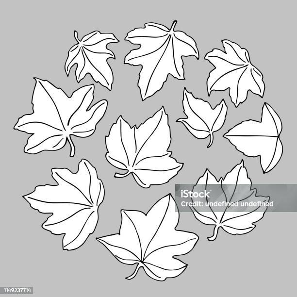 Set Of Different Hand Drawn Ivy Leaves With Black Contour And White Fill In Doodle Style Stock Illustration - Download Image Now