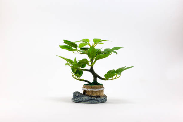 istock Small artificial tree in a pot on white background. Concept image for interior design and decoration of home and office. 1149237818