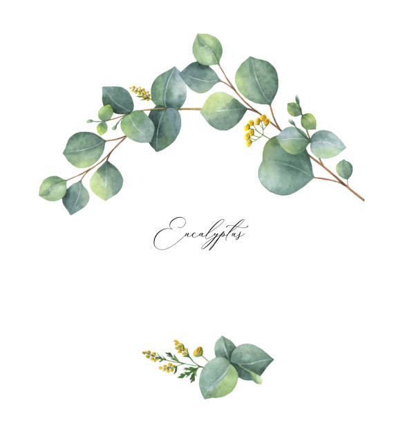 istock Watercolor vector wreath with green eucalyptus leaves and meadow plants. 1149237852