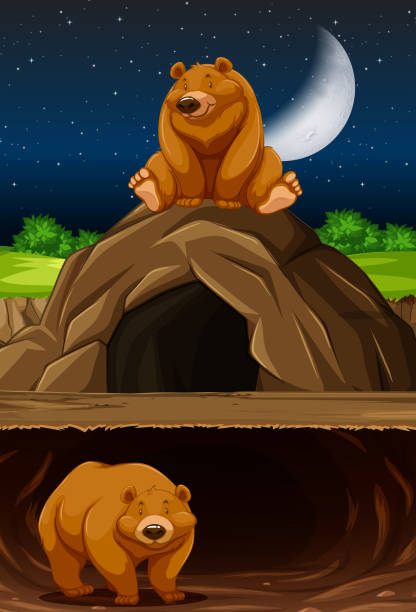 медведь в пещере - cave bear stock illustrations