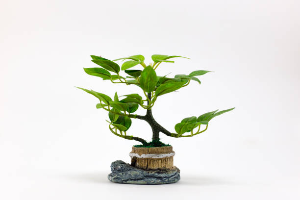 istock Small artificial tree in a pot on white background. Concept image for interior design and decoration of home and office. 1149239850