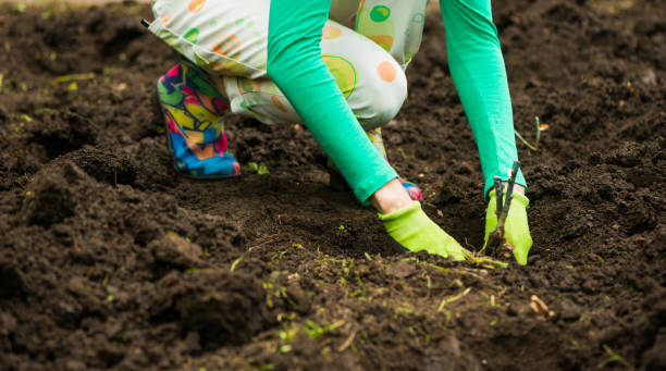 istock woman planting spring park soil 1149240770
