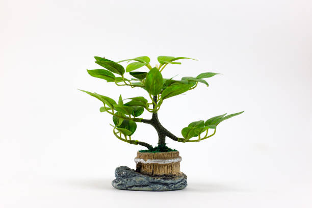 istock Small artificial tree in a pot on white background. Concept image for interior design and decoration of home and office. 1149240778