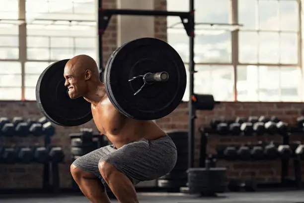 Determined african american man lifting weight in gym. Muscular strong man taking efforts to lift weight barbell in fitness center. Black shirtless bodybuilder doing squatting with a barbell on shoulder.