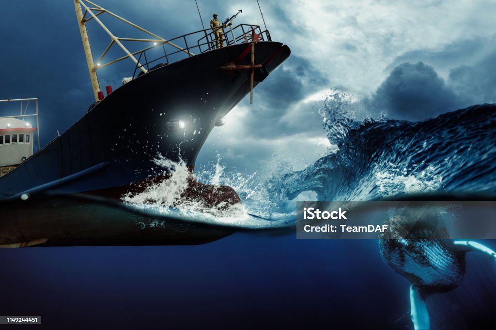 Whaler ship hunting a whale at the blue stormy sea illustration. Environmental protection and seafare concept. Whale Stock Photo