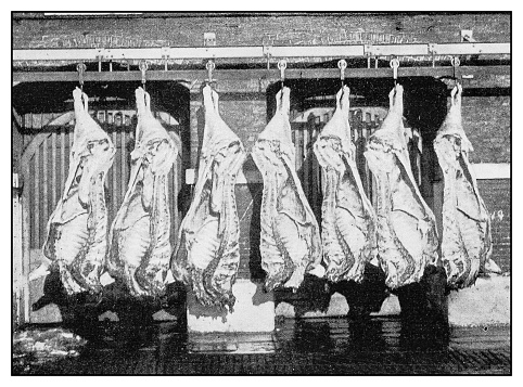 Antique photo: Slaughterhouse meat