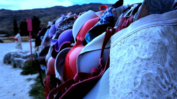 Bra Fence,New Zealand