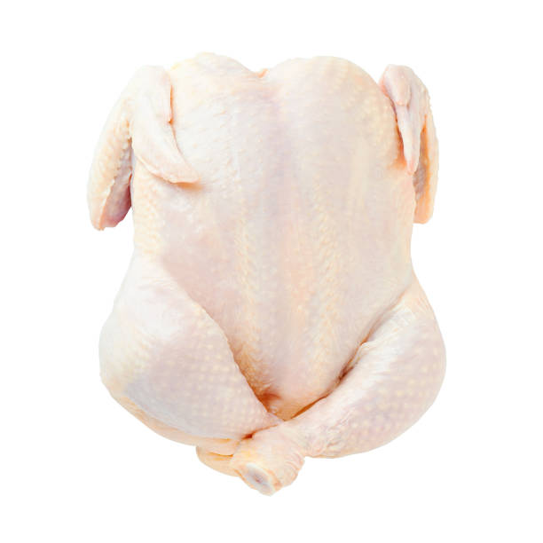 pollo freddo crudo. - preparation meat single object female foto e immagini stock