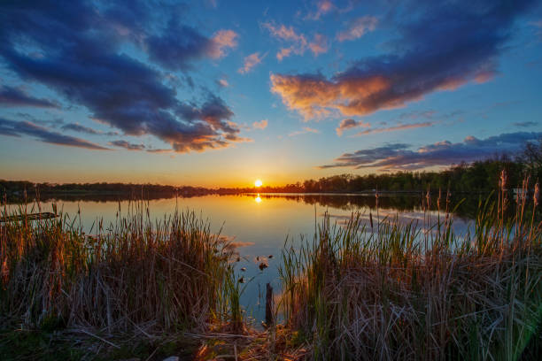 sol en el horizonte sobre el agua silenciosa a través de cattails - sky landscape horizon over water sunlight fotografías e imágenes de stock