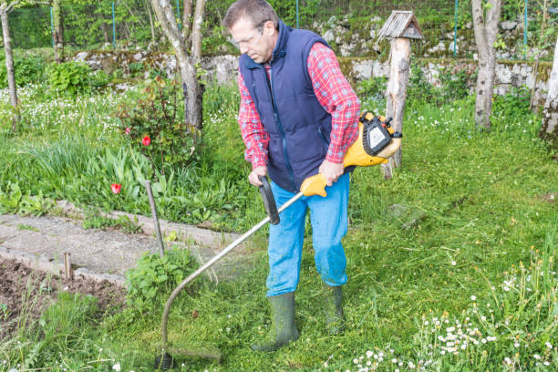 istock Mature Man Cutting Grass With Weed Trimmer 1149255630