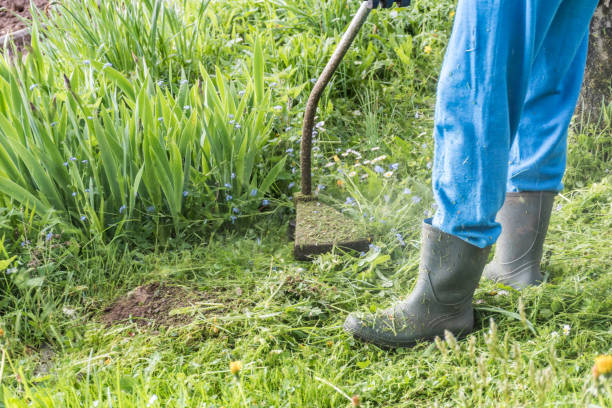 istock Mature Man Cutting Grass With Weed Trimmer 1149255631