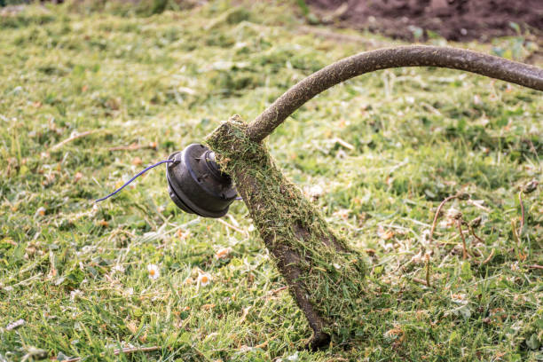 istock Close Up Cutting Grass with Weed Trimmer 1149255637
