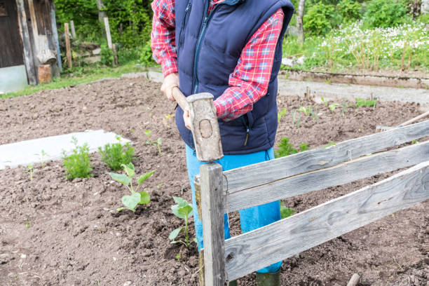 istock Man Mending Wooden Fence using Hammer 1149255652