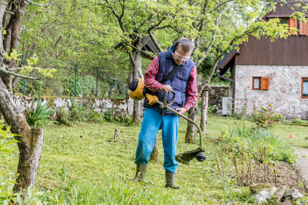 istock Mature Man Using an Edge Trimmer in Home Garden 1149255671