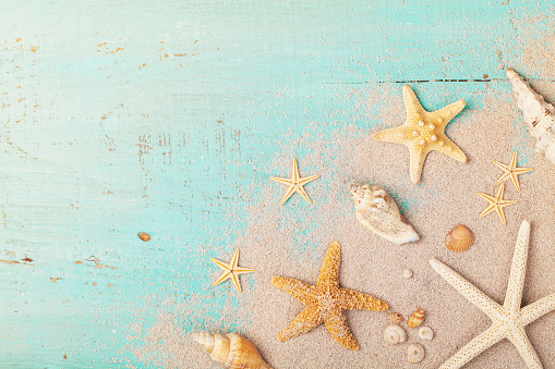 Starfishes and seashells on sand for summer holidays and travel background top view.