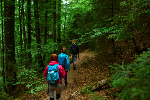 istock hikers enjoying the woodland 1149258490