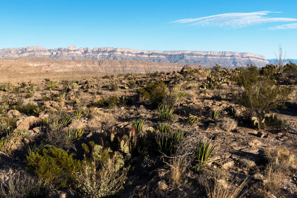 istock Sierra del Carmen Range - Big Bend National Park, Texas 1149260045