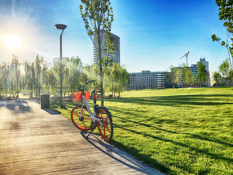 City Park with rent bike