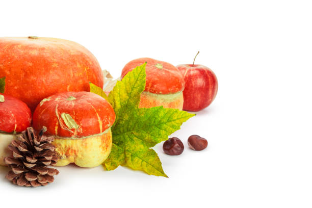 istock Autumn display with pumpkin and leaves isolated on white background 1149264679