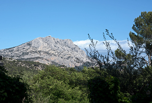 Springtime in southern France, Mt St Victoire in the background