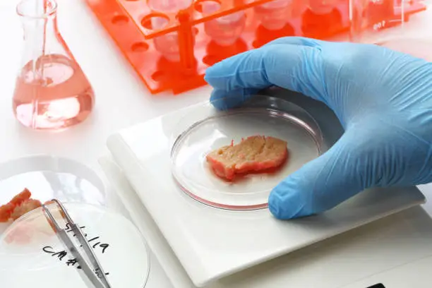 Photo of cultured meat making image, lab grown meat concept