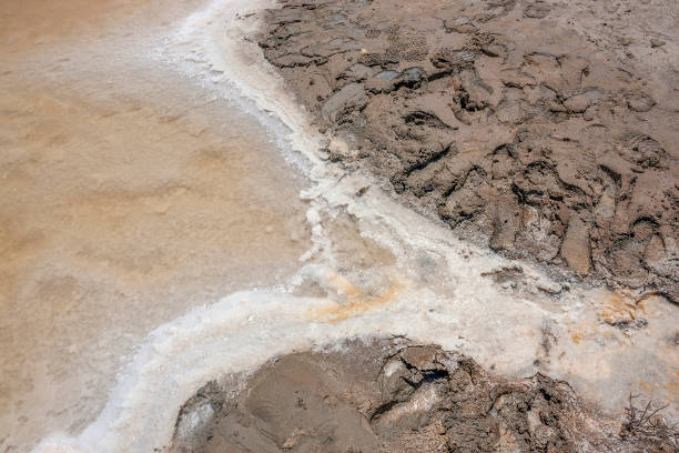 istock brine lagoon closeup 1149266219