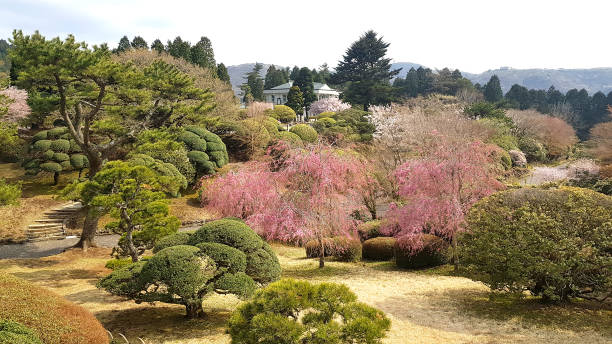 istock Onshi Hakone Park in Japan 1149267010