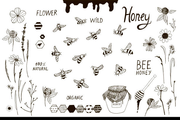 Bees and flowers set Bees and flowers vector illustrations set bee stock illustrations
