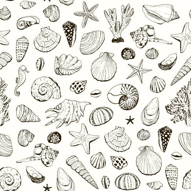Barnicle's Pattern 240+ Barnacles Drawing Stock Illustrations, Royalty-Free Vector ...