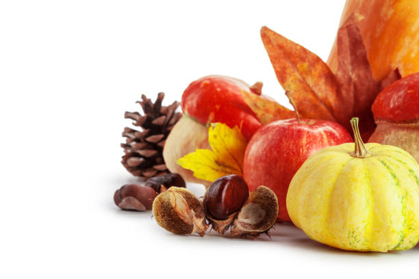 istock Autumn display with pumpkin and leaves isolated on white background 1149268686