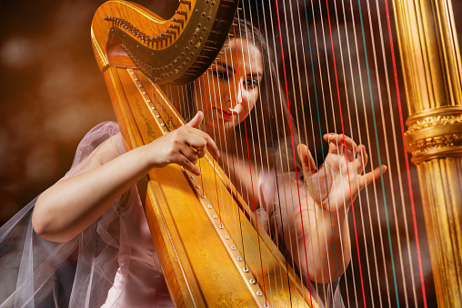 Professional female harpist during performance,  Portrait behind the harp wires. close-up. Hot colours on the background. Shot with D800, ISO 100, processed from RAW.