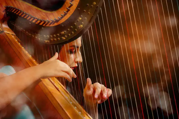 Professional female harpist during performance,  Portrait behind the harp wires. close-up. Hot colours on the background. Shot with D800, ISO 100, processed from RAW.