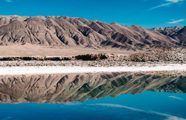 Hidden ponds of Baltinache, Atacama Desert stock photo