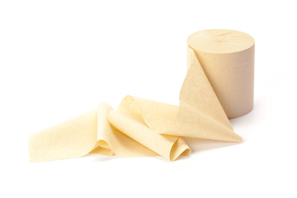 istock toilet paper isolated on white background 1149273919