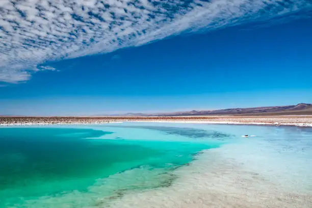 Saltlagoons in the Atacama Desert with vibrant colors and blue sky.