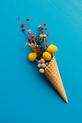 Flowers in ice cream cone still life