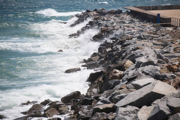 Waves in sea moved near the shore