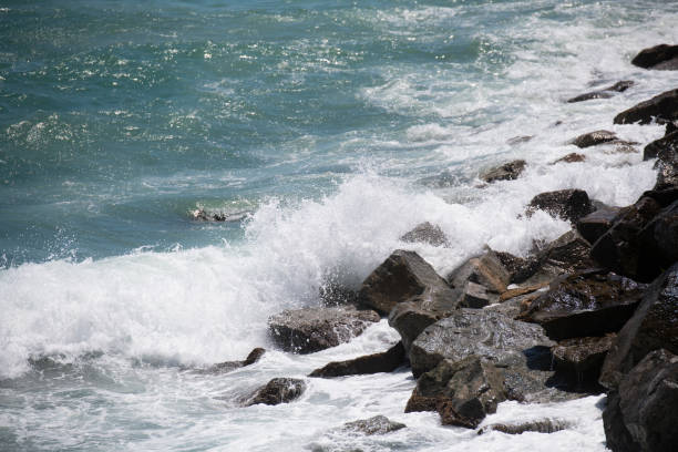 Waves in sea moved near the shore